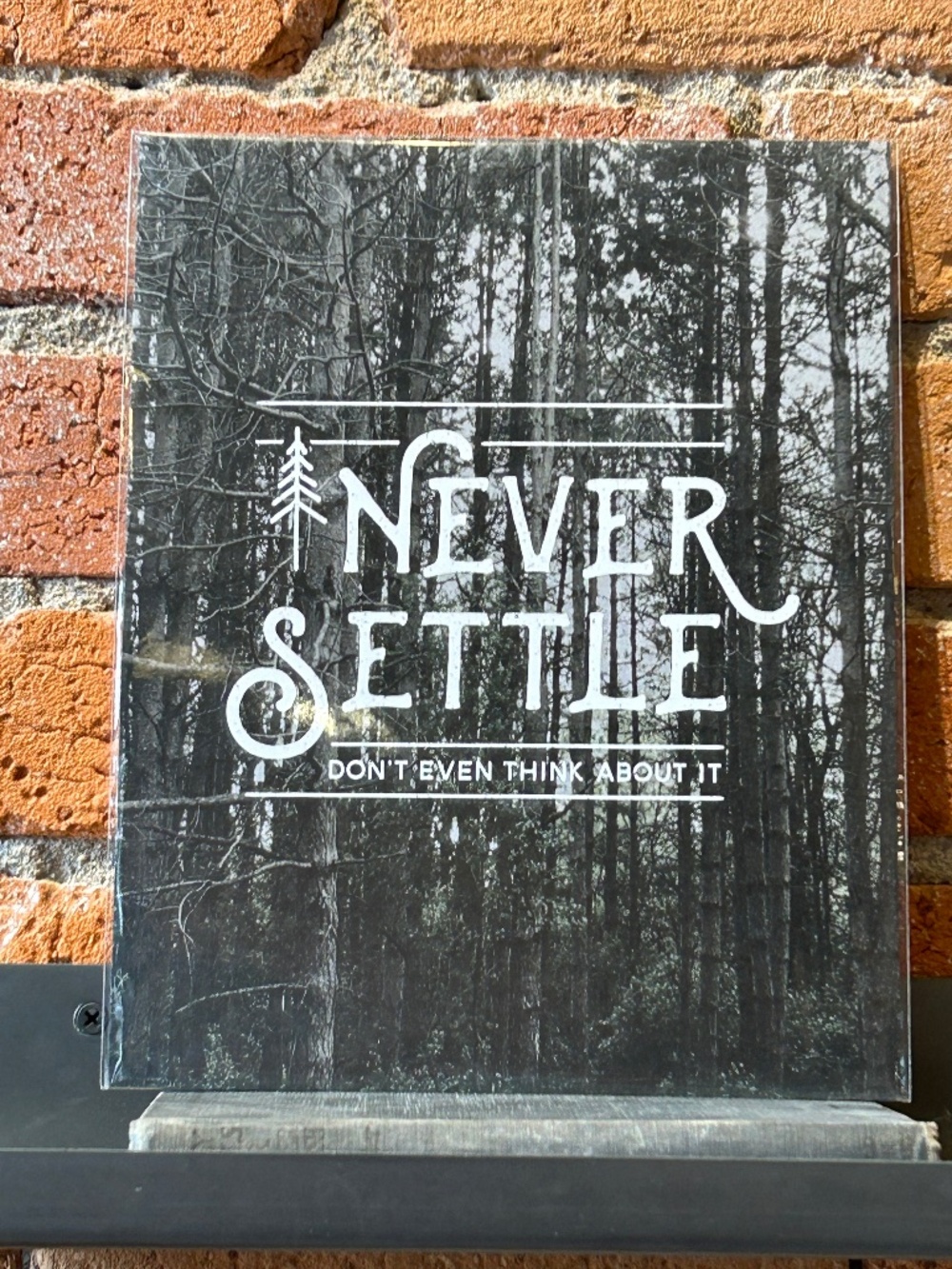 Anastasia Co. 8x10 Never Settle print